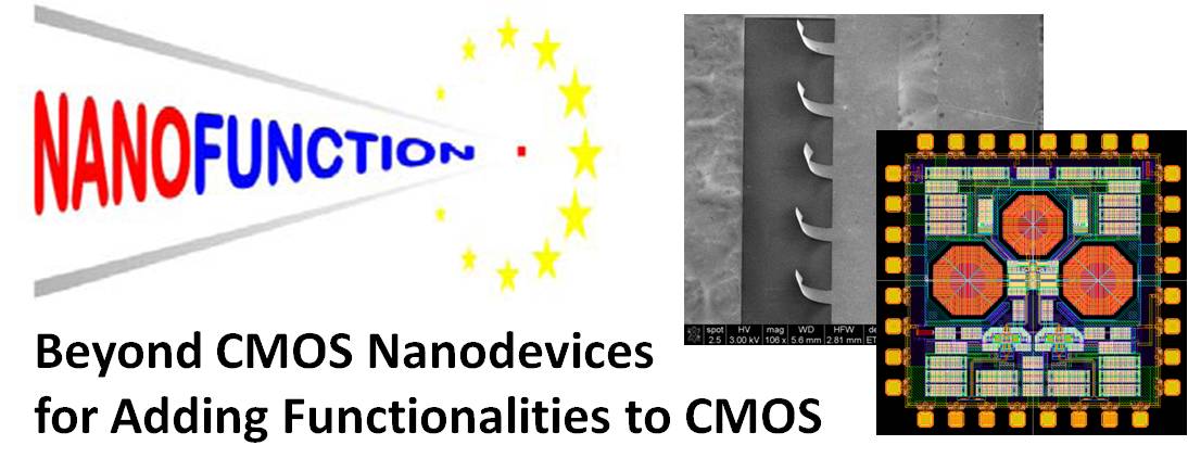 Logo NanoFunction